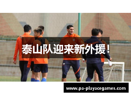 泰山队迎来新外援！