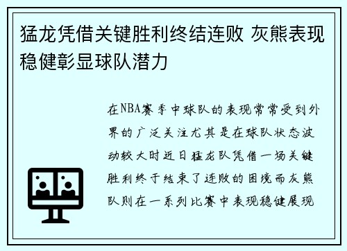 猛龙凭借关键胜利终结连败 灰熊表现稳健彰显球队潜力