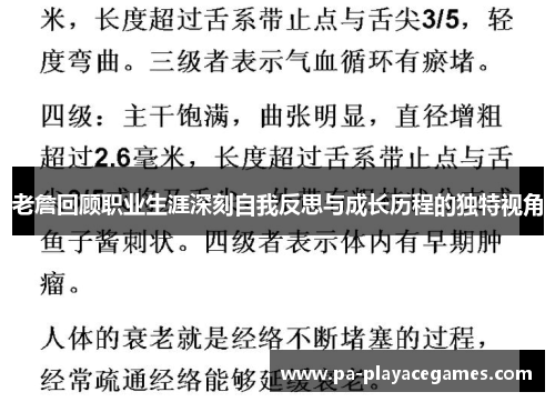 老詹回顾职业生涯深刻自我反思与成长历程的独特视角