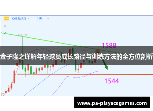 金子隆之详解年轻球员成长路径与训练方法的全方位剖析