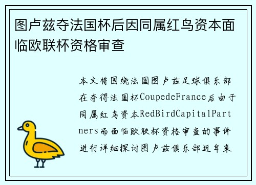 图卢兹夺法国杯后因同属红鸟资本面临欧联杯资格审查 图卢兹夺法国杯后因同属红鸟资本面临欧联杯资格审查